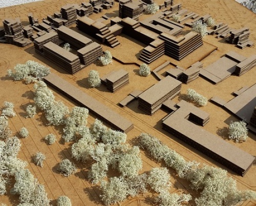 Alin Mitrache // Diploma: Un cadru bine echilibrat