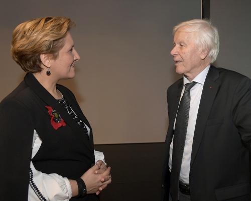 Proiecții ale culturii române în cultura europeană