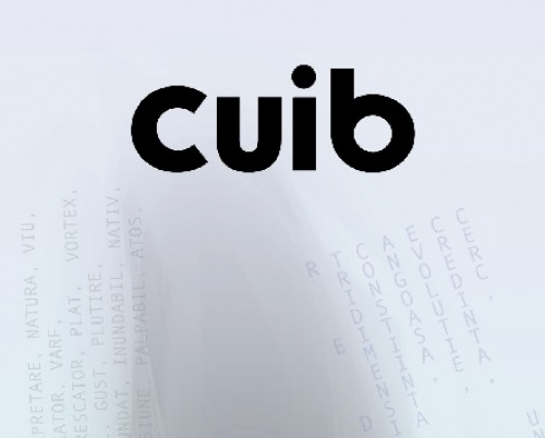 Se deschide expoziția „Cuib” semnată de artistul Ovidiu Ștefan Toader