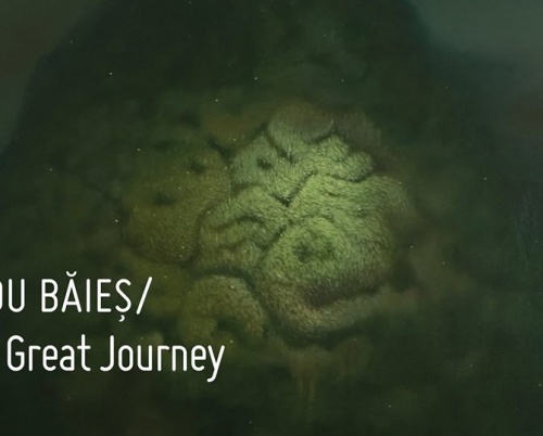 Expoziție personală a artistului Radu Băieș @ Galeria Sector1