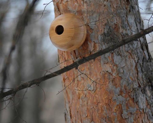 CIPRIAN ANDREI // ATELIER MUSTAȚĂ