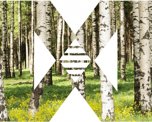 Apel de proiecte: IA-ALTFEL