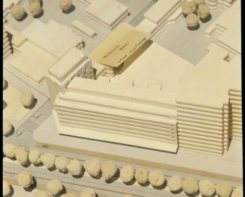 De vorbă cu Ana-Maria Goilav, Vicepreședinte OAR București