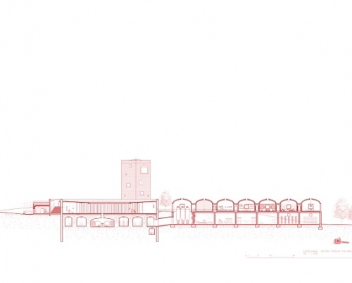 ANA GURDUZA // O VINĂRIE PE DEAL