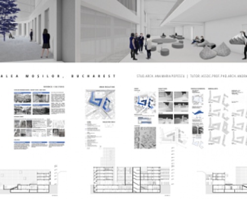 ANA MARIA POPESCU // COLLABORATIVE HUB, CALEA MOȘILOR, BUCUREȘTI