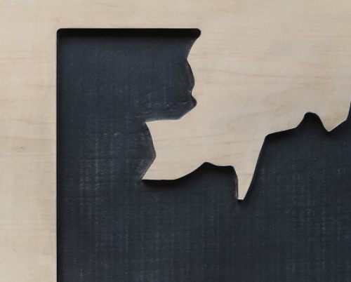 RALUCA MACOVEI // OBSERVAȚIE DUPĂ NATURĂ