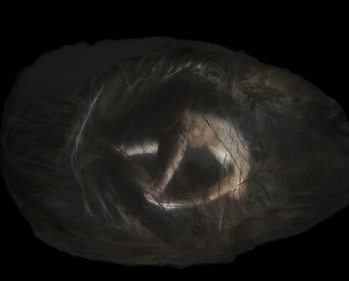 SANDRA BAZAVAN // W.O.M.B. - TRUPUL PUNCT