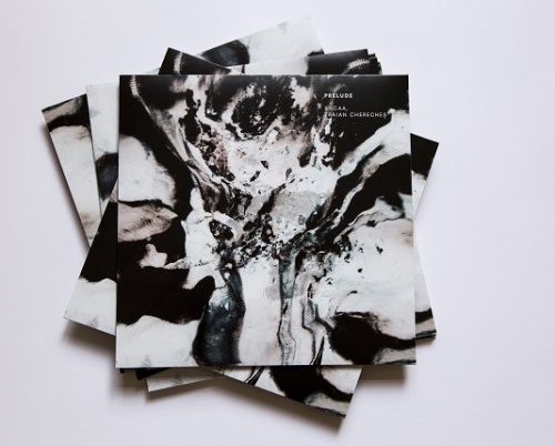 ALICE VOINEA // LEXICON POSIBIL