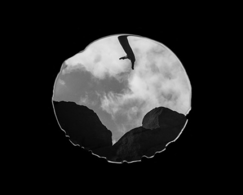 BIANCA NICU // ANIMA