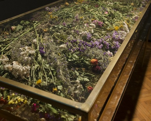 DOINA DOMENICA COJOCARU THANASIADIS // REMNANTS