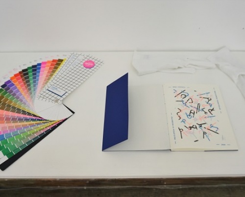 IRINA COSTESCU // ENCICLOPEDIA POSIBILITĂȚILOR