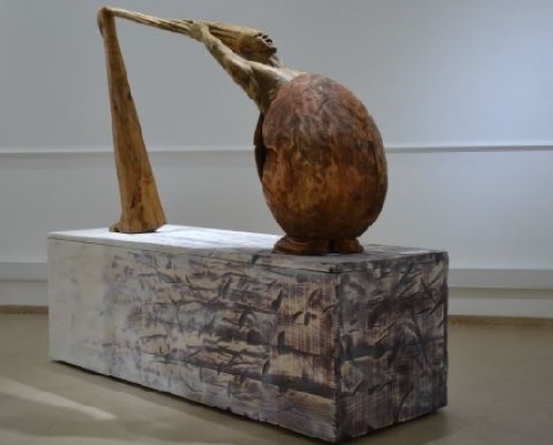 MIHAIL BOTNARI // DEVENIRE