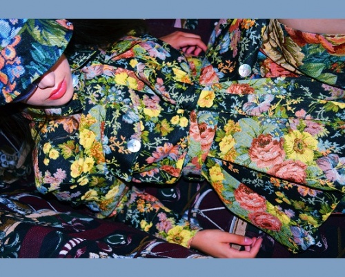 OZANA NICULAE // PSIHOVIS