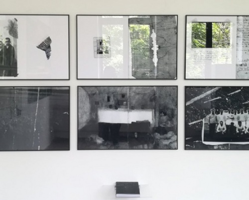 PETRA MARTIN // MEMORY LANE