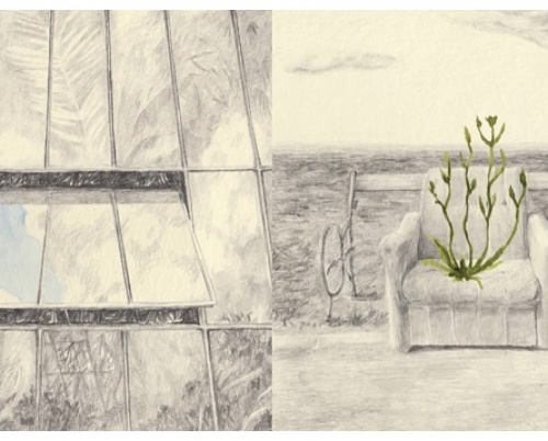 RALUCA ANGHEL // GRĂDINI INVIZIBILE | INTERSTIȚII