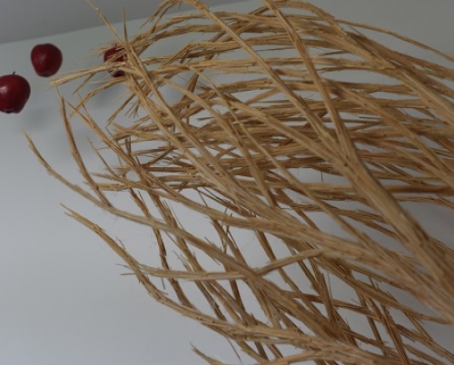 SMARANDA PÎRVAN POMPILIU // STRUCTURI ASCUNSE