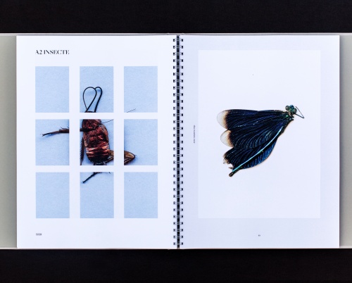 Avanpremieră: Vizită la DIPLOMA 2018