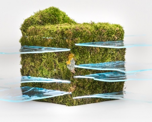 ANA MARIA MAIORU // LECȚIA DESPRE CUB