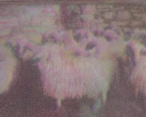 ANDREEA MIHALKA // STRATURI DE IDENTITATE