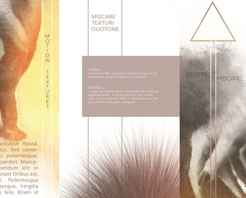 LAURA-MIHAELA BALLA // IDENTITATEA VIZUALĂ