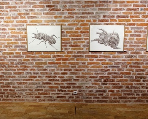 OTTILIA PFEIL // BIOMES(S). UNITATE ÎN DIVERSITATE