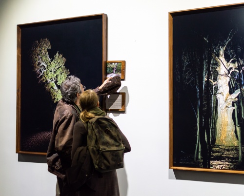 O nouă serie de conferințe din culisele expoziției Arbori Bătrâni