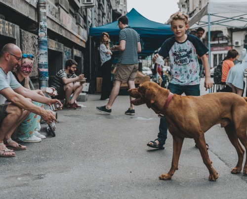 Comunități la dospit: Edgar Quinet și curtea U.A.U.I.M