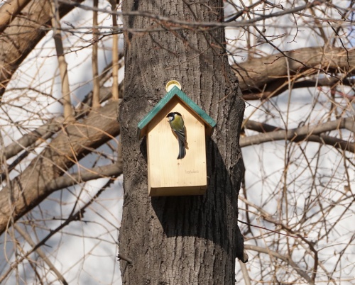 Comunități la dospit: Grupul de inițiativă Cișmigiu