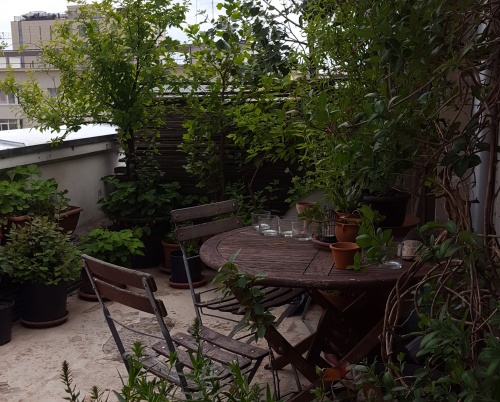 Un balcon în tranziție