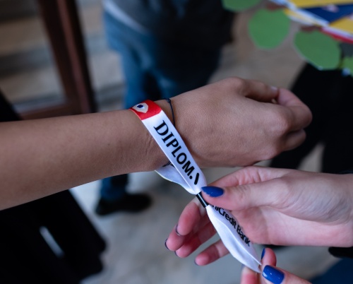 Call for volunteers @DIPLOMA 2019