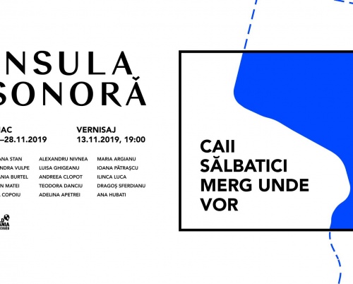 Vernisajul expoziţiei „INSULA SONORĂ - Caii sălbatici merg unde vor’’ are loc pe 13 noiembrie