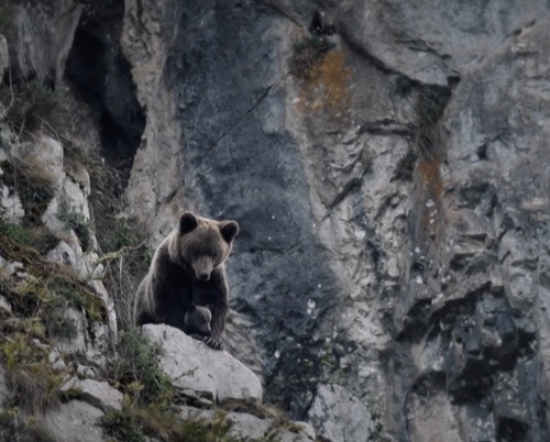 Documentarul Superhombre, despre alpinistul Horia Colibășanu, deschide cea de-a 5-a ediție ALPIN FILM FESTIVAL
