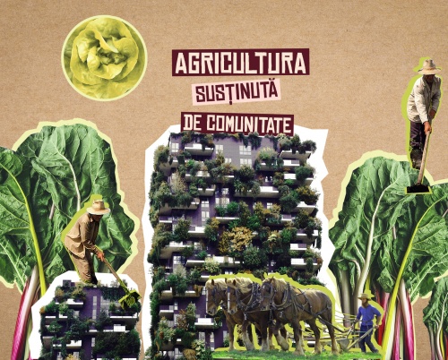 Hrană sănătoasă cu Asociația de Susținere a Agriculturii Țărănești 