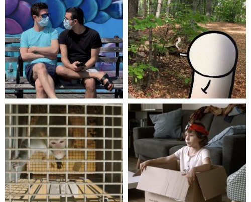 A început Festivalul Filmului European online