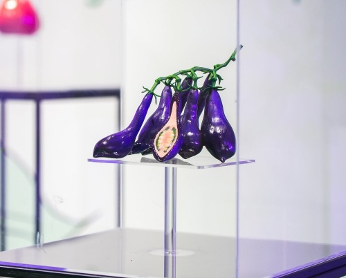 Romanian Design Week 2020 reunește sub umbrela DESIGN FLAGS șapte expoziții capsulă de design internațional