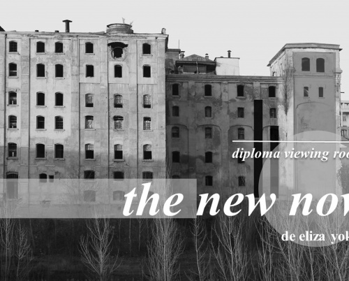 DIPLOMA Viewing Rooms // The New Now, o colecție de lucrări de arhitectură îngrijită de Eliza Yokina