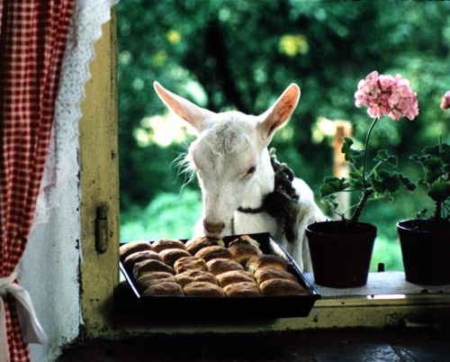 Lupta continuă pentru libertate - The Man Who Would Be Free & A Cottage Near the Woods