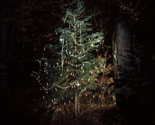 Pictorul Ștefan Câlția dăruiește Bradul Copilăriei pentru educația copiilor din medii defavorizate