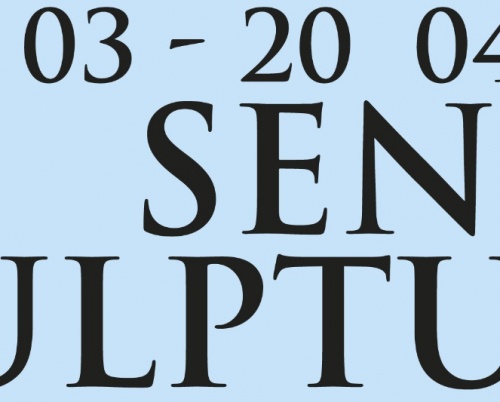  Sensul Sculpturii, expoziția Kunsthalle Bega Timișoara, la Galeria Sector 1