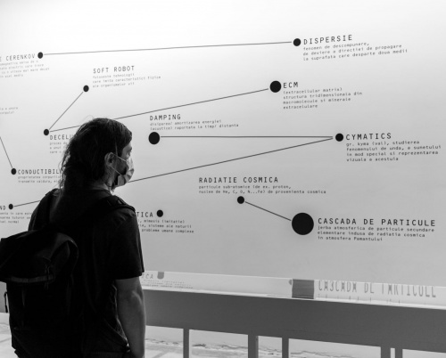 Cum a fost la rezidențele artistice Fusion AIR