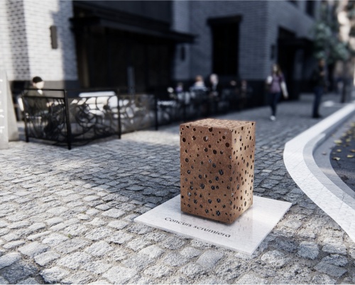 Câștigătorii concursului de design igloo, #AlegeAsumat