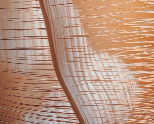 Se deschide spațiul The Institute la Combinatul Fondului Plastic