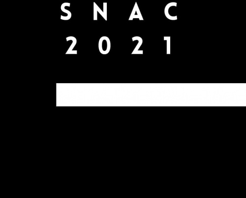 Salonul Național de Artă Contemporană (SNAC) 2021