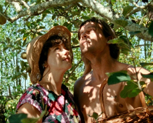 BIEFF 2021: Filmele care au cucerit premiile celor mai importante  festivaluri europene, pe marele ecran din București