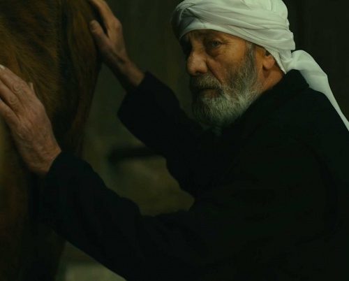 Filme de la Veneţia, în programul ediţiei a patra a Festivalului Filmului Palestinian