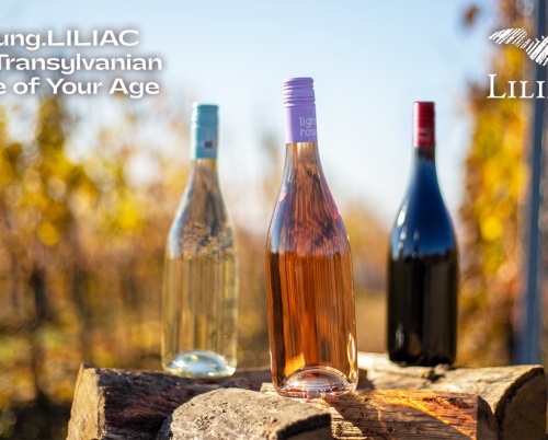 Crama Liliac aniversează 10 ani de young.LILIAC printr-o ediție inedită a concursului de design de etichetă 