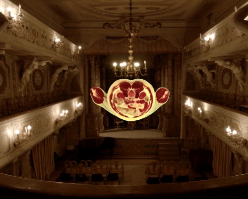 Filme de avangardă, maeștri ai experimentului în cinema și titluri multi-premiate, la prima ediție BIEFF Timișoara