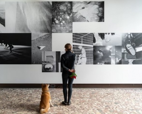 Finisaj expoziție „de acolo de unde încă se poate vedea curbura pământului” 