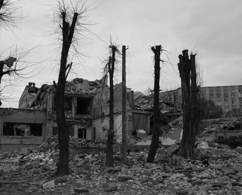 Expoziția DOCUMENT / Alfred Schupler la Galeria Galateca