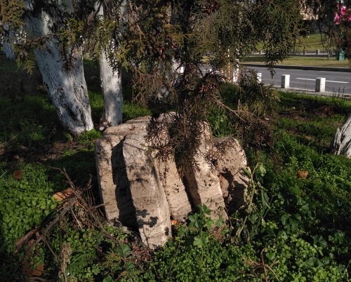 ARCUB | NOUA GRĂDINĂ BOTANICĂ | NOUL BAUHAUS EUROPEAN 